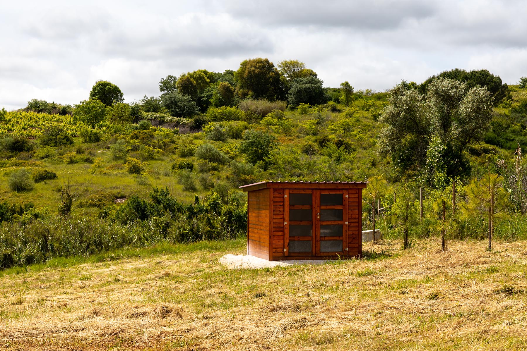 Casa da Barbonica — photo 5